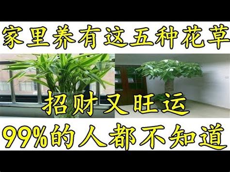 門口種什麼植物|大門口適合放什麼植物？風水師推薦發財樹、富貴竹、。